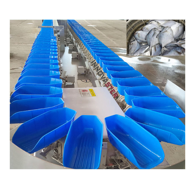 6000x1250x1750mm 304 από ανοξείδωτο χάλυβα Εξοπλισμός διαλογής ψαριών με φιλέτα καρότου