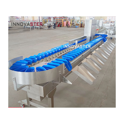 6000x1250x1750mm Μηχανή κατάταξης βάρους για τη βιομηχανία τροφίμων