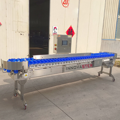 6000x1250x1750mm έξυπνη μηχανή ταξινόμησης βάρους των φρούτων Κιούι για ταξινόμηση