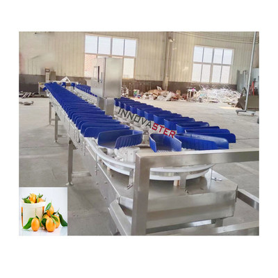 6000x1250x1750mm Υψηλής ακρίβειας Πορτοκαλί παγωμένα θαλασσινά