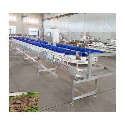 Μηχανή διαλογής βάρους 500 KG για την ταξινόμηση μάνγκο σε κατεψυγμένη τροφή