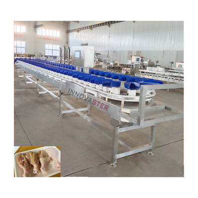 Εμπορική χρήση Μηχανή διαλογής λαχανικών Loadcell για θαλασσινά, ψάρια, γαρίδες, κοχύλια