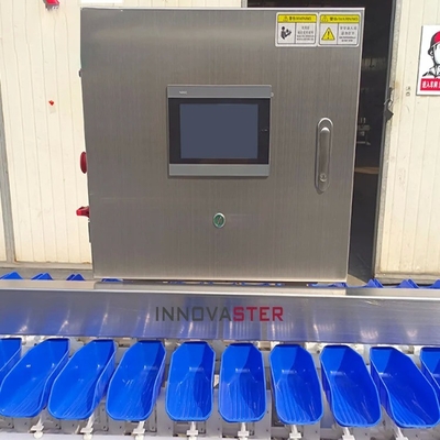 Εμπορική χρήση Μηχανή διαλογής λαχανικών Loadcell για θαλασσινά, ψάρια, γαρίδες, κοχύλια