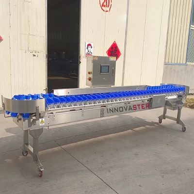 Εμπορική χρήση Μηχανή διαλογής λαχανικών Loadcell για θαλασσινά, ψάρια, γαρίδες, κοχύλια