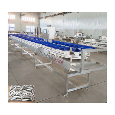 Μηχανή ζύγισης και διαλογής 6000x1250x1750mm Παγωμένο πόδι κοτόπουλου/πτέρυγα/αβάλον 500 KG